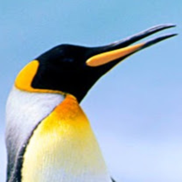 Meet your Posher, Daniel - Picture 1 of 1